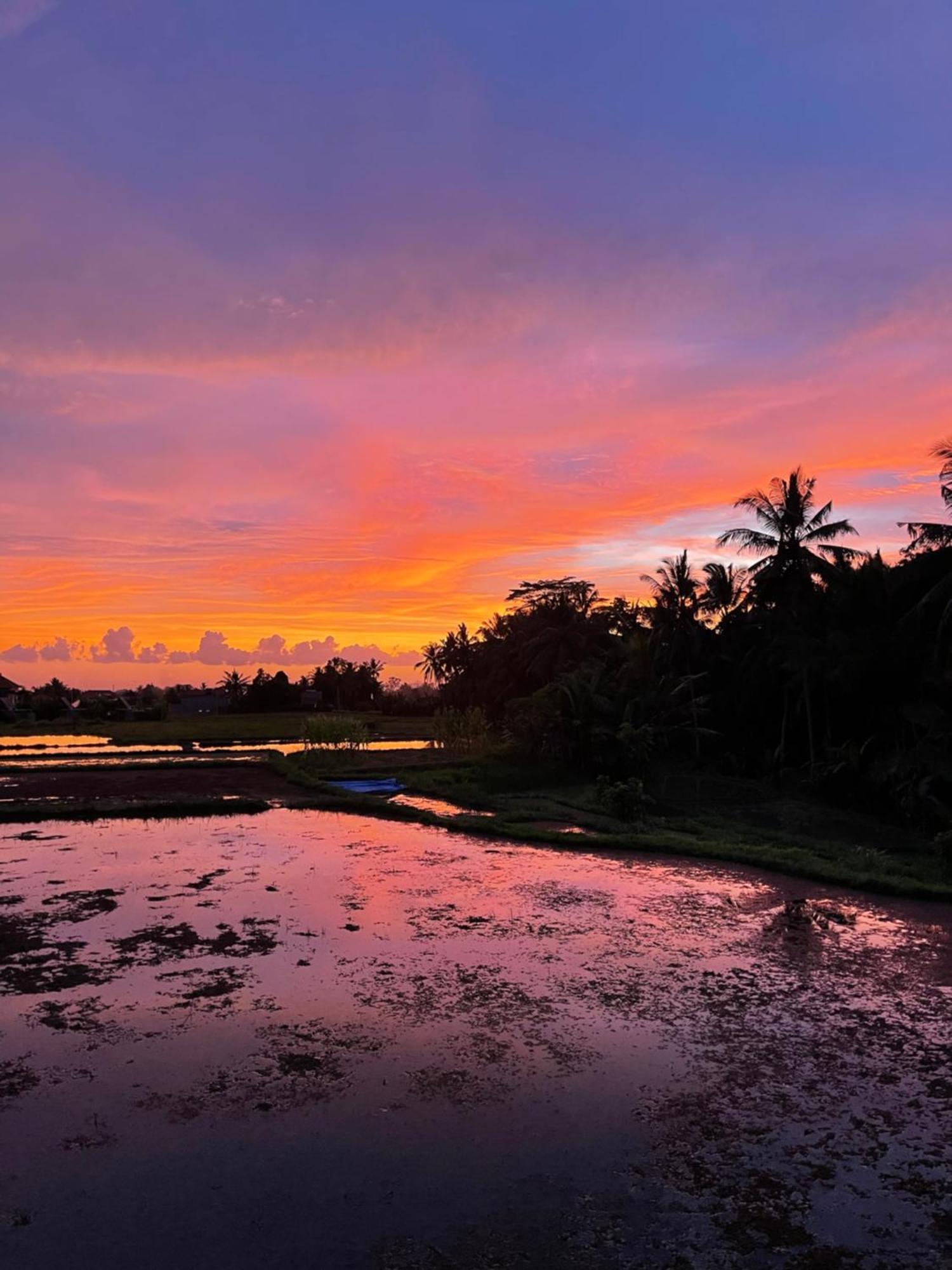 The Luxe Ubud ภายนอก รูปภาพ